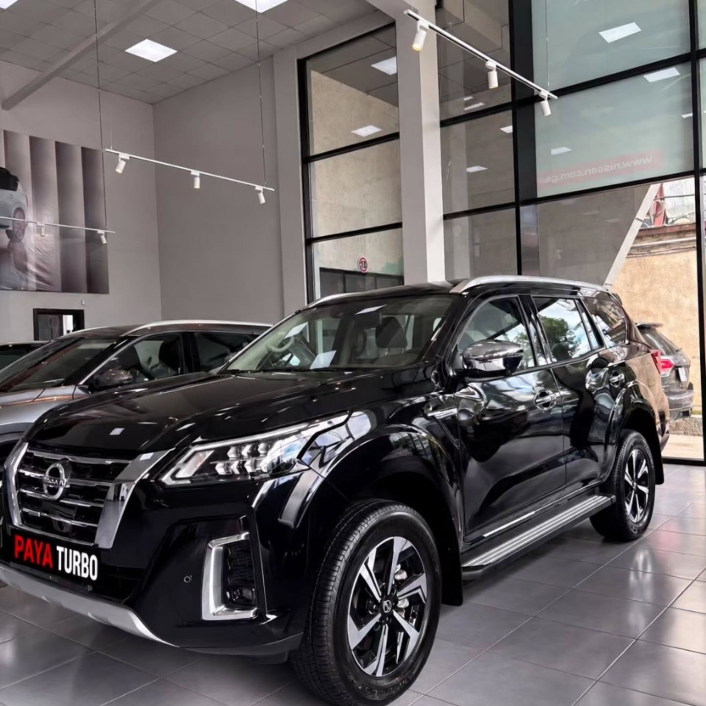 Nissan X_terra platinum