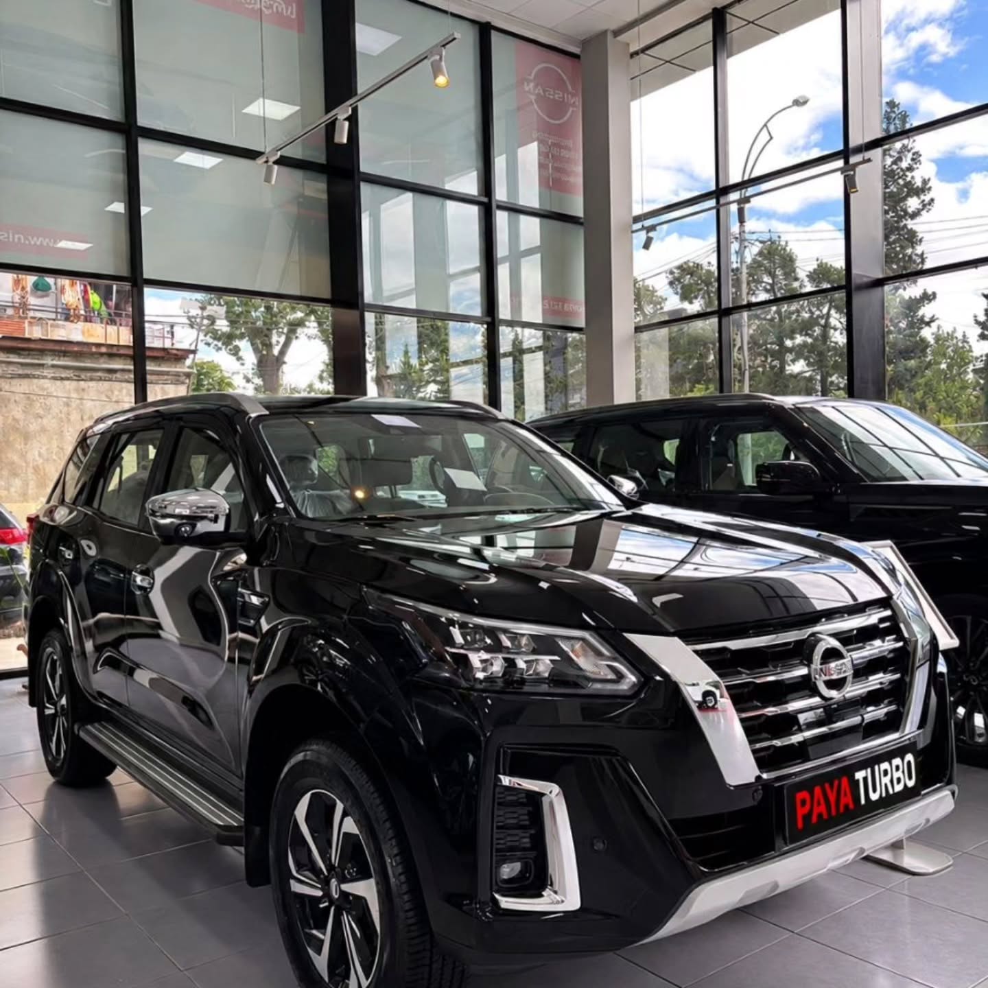 Nissan X_terra platinum