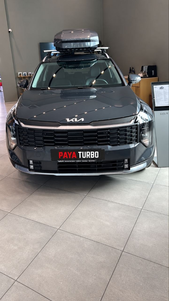 کیا Sportage business